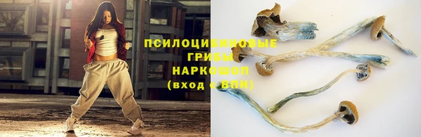 стафф Кулебаки