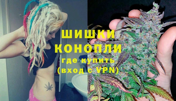 таблы Ельня