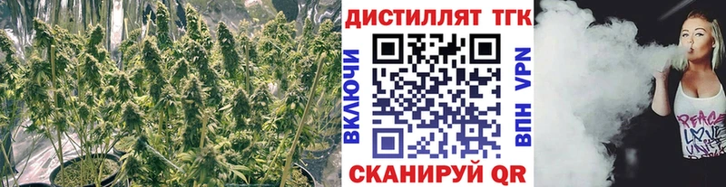 Дистиллят ТГК THC oil  Сретенск 