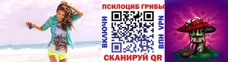 Псилоцибиновые грибы Psilocybine cubensis  Сретенск 